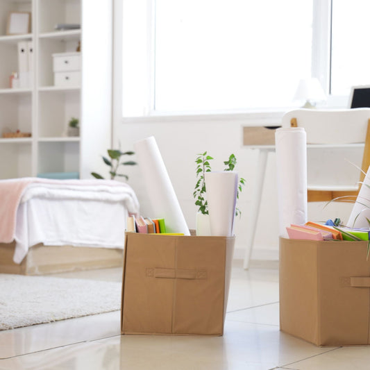 Dorm essentials you can't live without
