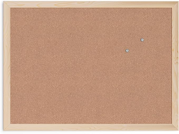 CORK-BOARD: with Pushpins