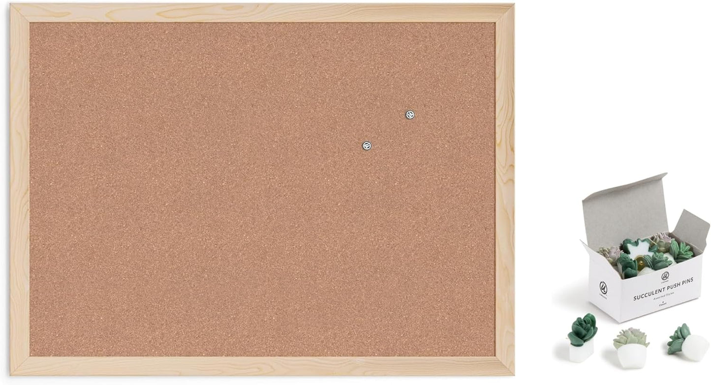 corkboard with pushpins
