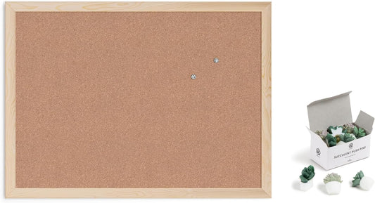corkboard with pushpins