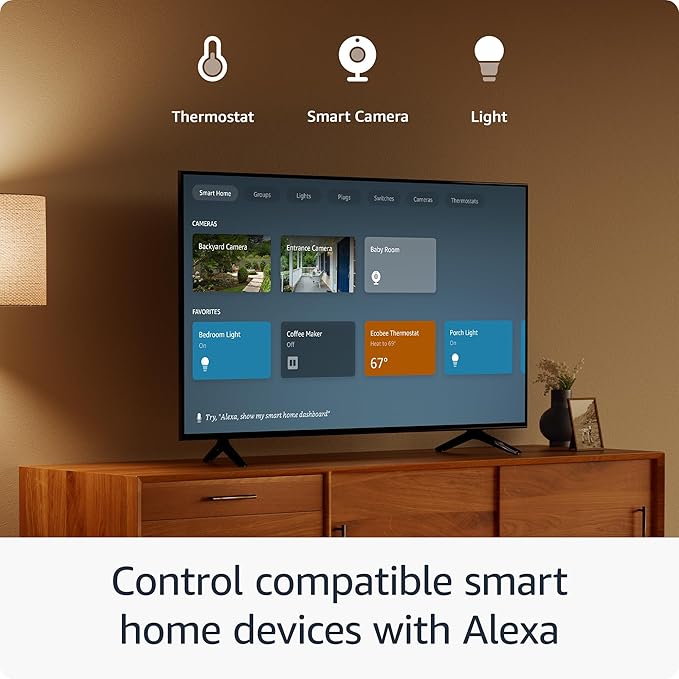 ELECTRONICS: Amazon Fire Stick